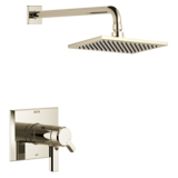 Delta T17 T299 P N B1