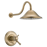 T17 T297 C Z B1