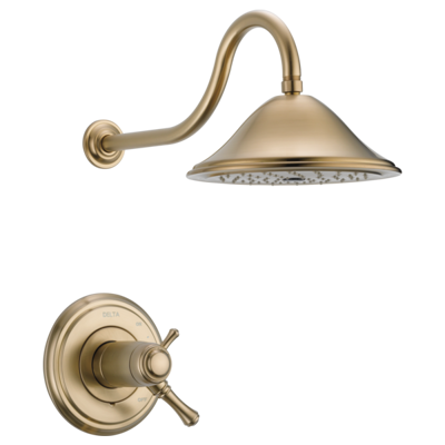 T17 T297 C Z B1