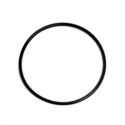 6889832 P