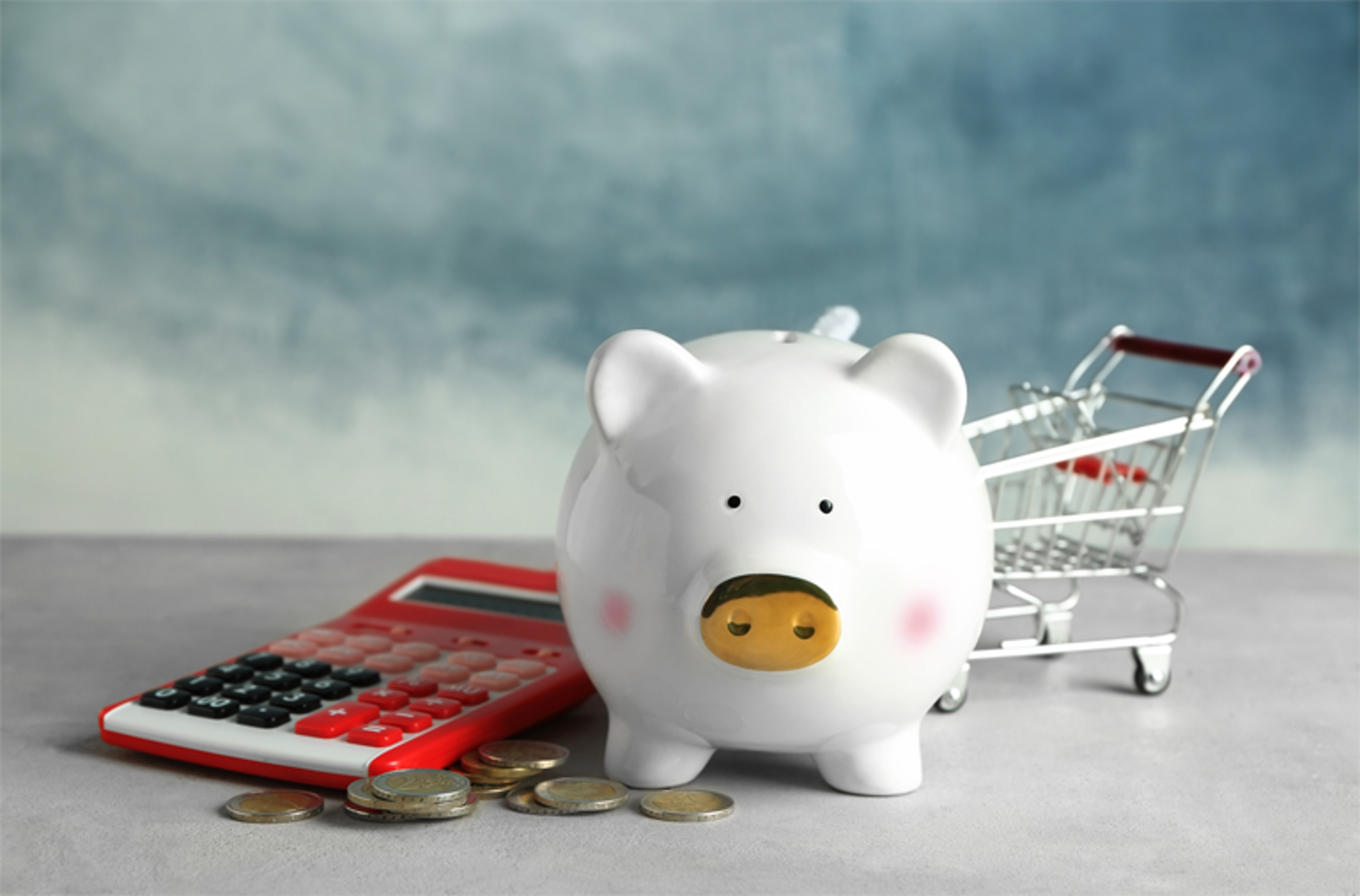 Specials Rebates Piggy Bank