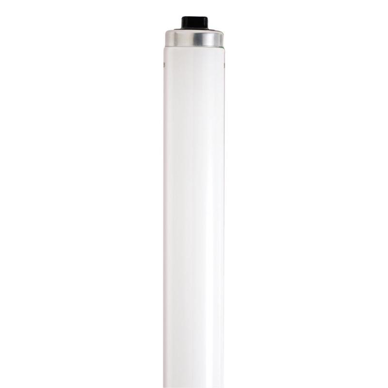 S6461