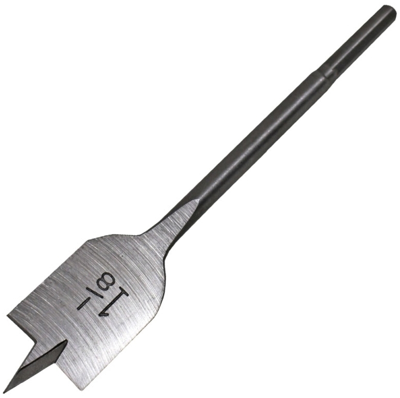 37520053