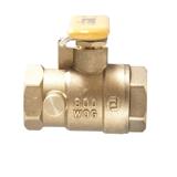 Watts 098268701456