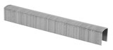 Detail of 694 14 Single Staple Strip