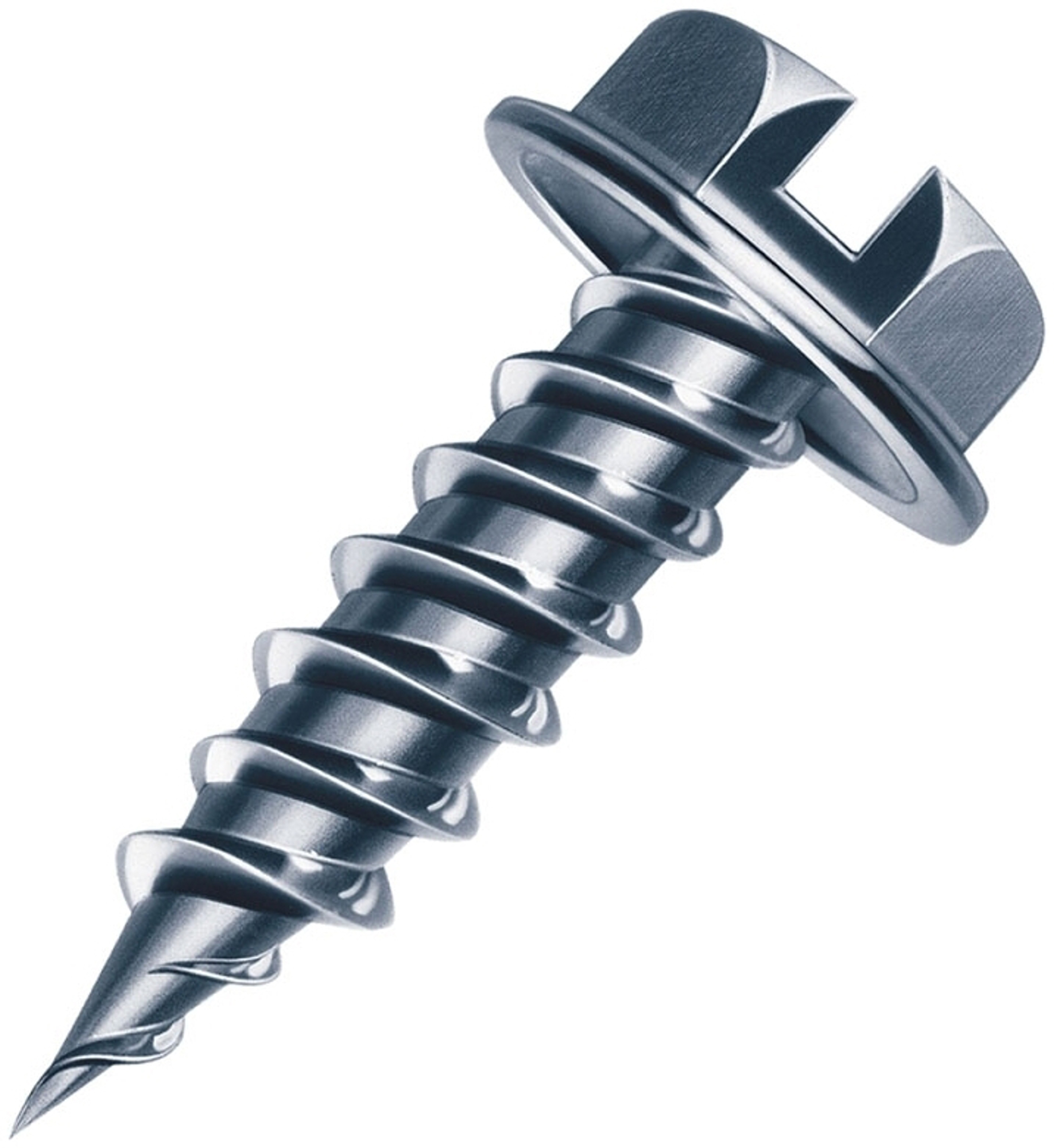 d2000x2000-37508405.jpg