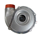 Detail of 70 101888 01 Gasket